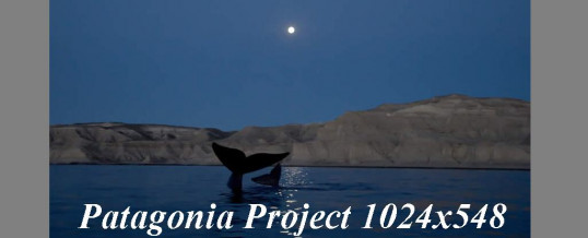 [:en]New Website for Patagonia Project[:de]Neue Webseite für Patagonia Project[:]